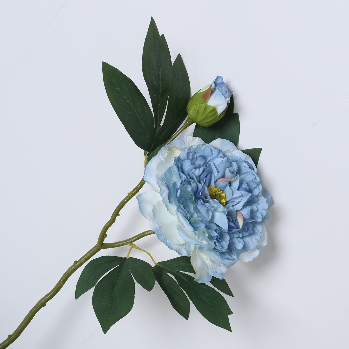 Pintura al óleo azul claro de peonías con borde quemado.