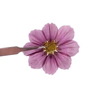 Harga Pabrik Kerajinan Resin DIY Bunga Cosmos Kering 5-8cm untuk Pembatas Buku, Casing Ponsel, Natal, Hari Valentine, Paskah