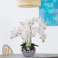 Hochwertige 64 cm weiße künstliche Orchideen Großhandel Partydekoration für Muttertag und Schulanfang