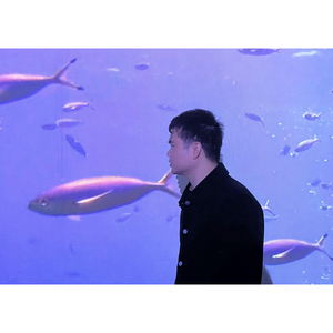 Cá Trong Thế Giới Dưới Nước 3D Rạp Hát Tại Hệ Thống Phim Tiền Movie Hệ Thống Nhà Cung Cấp Với Khác Nhau Màn Hình Dẫn Và Chiếu Nội Dung - Product Image 2