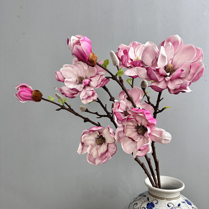 Bouquet de fleurs de magnolia pour la <span class=keywords><strong>d</strong></span>écoration de bureau et de jardin, fleurs artificielles en plastique personnalisables, <span class=keywords><strong>d</strong></span>écoration de la maison, plantes artificielles - Product Image 2