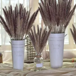 หญ้าแพมพัสแห้งขนาดเล็ก ขนฟู สีเทา สำหรับตกแต่ง - Product Image 1