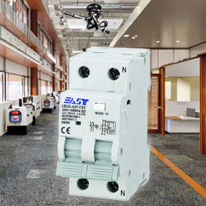 Doğu yüksek kalite OEM ODM <span class=keywords><strong>RCBO</strong></span> artık akım işletilen devre kesici 40A 50A 63A <span class=keywords><strong>80A</strong></span> 1P + N LBX2L-63Y - Product Image 2