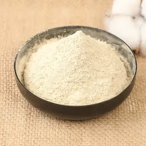 Fabricante profissional Pure Natural Organic <span class=keywords><strong>Shiitake</strong></span> Mushroom <span class=keywords><strong>Powder</strong></span> Econômico Original Sabor Tempero Tempero Spice - Product Image 2