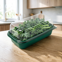 Conteneur alimentaire en plastique PET personnalisé, boîte rectangulaire transparente pour salade de fruits, logo personnalisé pour l'emballage des tomates cerises et des raisins