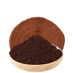GANOHERB Reishi Champignon biologique en poudre de spores brisées Lingzhi Compléments alimentaires à base de plantes - Product Image 2