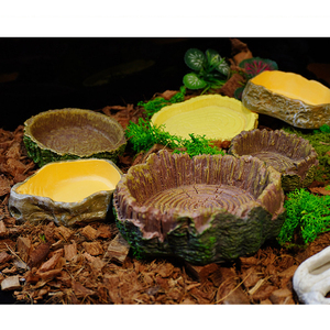 Décoration pour aquarium et terrarium de reptiles - Plateforme d'alimentation et abreuvoir décoratif - Product Image 6