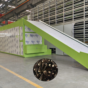 Máquina Secadora Continua de Hierbas con Cinta de Malla, Máquina Secadora de Porcini con Cinta de Malla, Máquina Secadora de Boletus con Cinta de Malla - Product Image 1