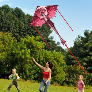 Novedad: <span class=keywords><strong>Cometa</strong></span> de Dragón Volador al por Mayor con Marco y Tela de Poliéster, Regalo para Niños - Product Image 2