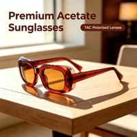 Lunettes de soleil en acétate avec protection UV400 et verres fonctionnels anti-UV pour l'importation et la vente au détail