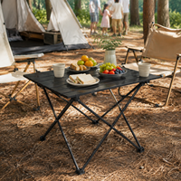 Table de camping pliante, mini table d'appoint portable pour la plage, le pique-nique, le jardin, la terrasse, la pêche, les voyages, la randonnée