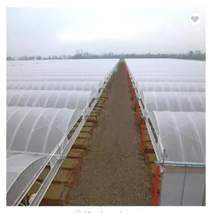 Invernadero de túnel de película de plástico para flores y verduras, suministro hidropónico comercial individual/multispan grande