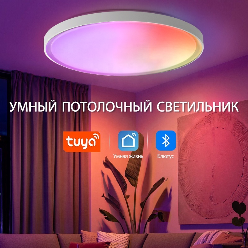 Tuya Smart Indoor ABS Plastic Ceiling Lamp with RGBW Remote Control Modern Nordic Style LED Light for Home for Living Room