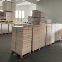 Carton Bristol ivoire simple face, recyclable, imperméable, 150-350 g/m², GC1 GC2 FBB C1S, vente directe usine, haute qualité en gros