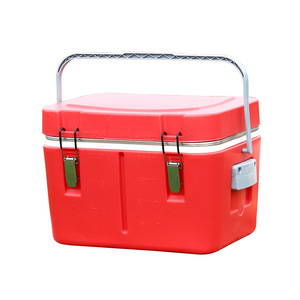Cooler Box 20L Insulated Food Storage Outdoor Use Rectangle Shape Stainless Steel Inner PP Outer Shell - Product Image 1