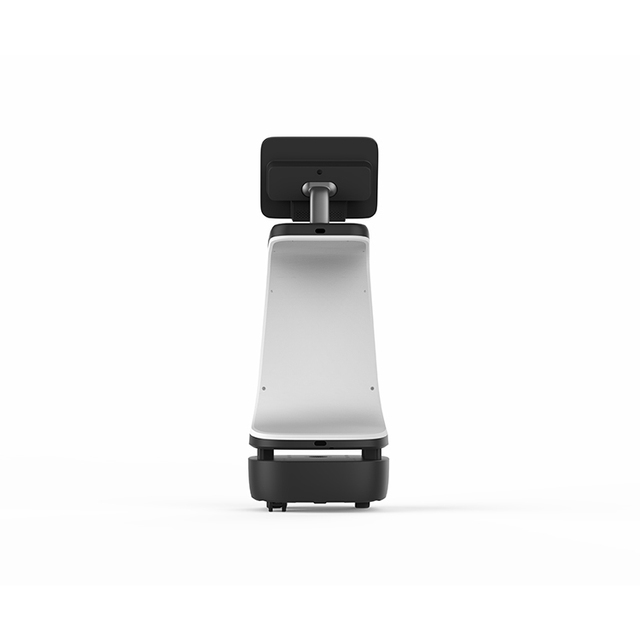 Cheap Price Robots Humanoids Smart Intelligent Reception Service Robot for Service