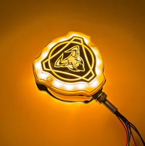 1 Pieza Luz LED con Logotipo Iluminada para Parrilla de Camión <span class=keywords><strong>SCANIA</strong></span> V8 24V, Lente de Halcón en Blanco/Amarillo/Rojo - Product Image 4