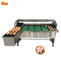 Nouvelle machine industrielle automatique de triage des œufs, équipement de triage des œufs de poulet, trieuse électronique d'œufs haute vitesse pour les fermes avicoles