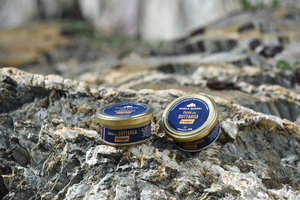 สารสกัดจากมูลปลากระบอก50กรัมครีมซีฟู้ดจากอิตาลีในโถฆ่าเชื้อโดย sarda sapori สำหรับชิม - Product Image 2