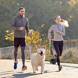 Commercio all'ingrosso raccoglitore di cacca in plastica pieghevole per cani Scooper con borse - Product Image 6