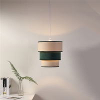 Lampe suspendue en rotin au design moderne, luminaire décoratif d'intérieur, de couleur verte, pas cher, idéal pour un salon