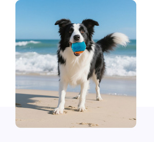Hot-Selling Cross-Border Eco-Friendly Rubber <b>Dog</b> Toy Large Training <b>Ball</b> Sounding C-Shaped Design Indoor Use Luxury Cartoon - Product Image 2