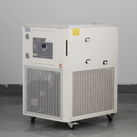 Pompe de réfrigération à circulation de liquide pour laboratoire DLSB-200/80