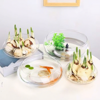 Vase en verre, bol pour plantes, pot de fleurs pour lotus, pétunia, narcisse, culture hydroponique, plantes vertes, salon, balcon, table