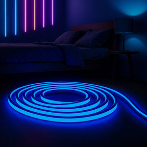 Offres Spéciales néon LED Flexible <span class=keywords><strong>Aquarium</strong></span> éclairage ceinture 12V bleu glace lumières étanche doux LED Flex néon lumière - Product Image 1