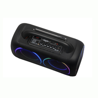Altavoz Karaoke Inalámbrico Portátil NDR-Q66 con Doble Controlador, Altavoz Estéreo con Bajos Profundos, Woofer HIFI, Luces LED, Altavoces Activos para Fiestas y DJ