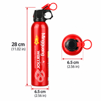 Extincteur compact à base d'eau rouge de 610 ml, portable, pour la sécurité incendie d'urgence à la maison, au bureau et en extérieur