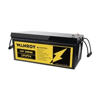 Dropshipping 12V 100Ah 200Ah LiFePo4 pil paketi dahili BMS lityum demir fosfat piller Golf arabası güneş