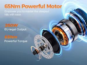 Vélo électrique rétro vintage pour adultes, nouveau design EU, moteur arrière 250W, double batterie lithium 28,6Ah, pneus larges 20 pouces, vélo de ville électrique. - Product Image 5