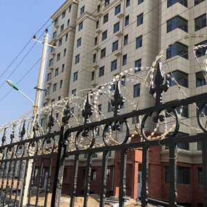 Vendita Calda BTO-25 30 Filo Spinato Zincato a Doppia Bobina in PVC per Recinzioni Protettive in Cantieri e per la Sicurezza del Paese - Product Image 4