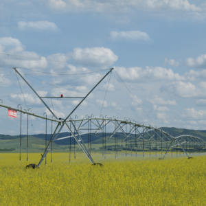 Vente 2026 de système d'irrigation à pivot <span class=keywords><strong>central</strong></span> mobile de pointe, de conception chinoise à structure tour / équipement d'irrigation à pivot <span class=keywords><strong>central</strong></span> - Product Image 2