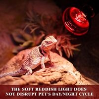 Ampoules pour reptiles R63 R80 Lampe infrarouge 110-130V /220-240V 40w 60w 100w E26 E27
