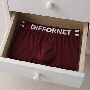 Slip sportivi in poliestere stile <span class=keywords><strong>trendy</strong></span> con stampa geometrica, tessuto ultraleggero, <span class=keywords><strong>intimo</strong></span> tecnico per viaggi all'aperto e uso quotidiano - Product Image 3