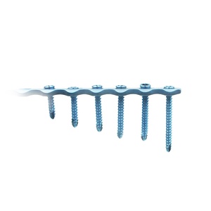 Fabrieksdirect Dafinki 2.4MM Titanium AO Vergrendelende Schroef - Veterinair Orthopedisch Implantaat voor Trauma Plaat Fixatie Klasse III 3-Jaar - Product Image 2