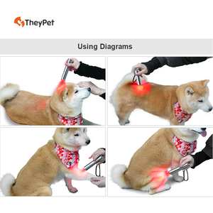 Pena Terapi Cahaya Merah LED Genggam untuk Kesehatan & Medis, Senter untuk Perawatan Kesehatan Hewan Kuda Kucing Anjing - Product Image 2