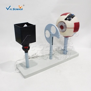 Instrument de <span class=keywords><strong>d</strong></span>émonstration <span class=keywords><strong>d</strong></span>'imagerie de globe oculaire agrandi, modèle <span class=keywords><strong>d</strong></span>'œil humain pour l'enseignement en <span class=keywords><strong>ophtalmologie</strong></span> des facultés de médecine CE/ISO/ROHS/CNAS - Product Image 3