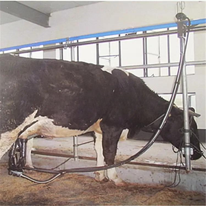 Fermes laitières-Systèmes <span class=keywords><strong>de</strong></span> <span class=keywords><strong>traite</strong></span> - Product Image 2