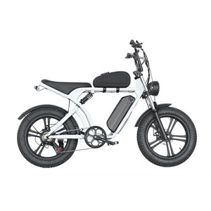 Bicicleta eléctrica de carga para adultos - Nuevo estándar nacional - Motor central - 3 velocidades - Cuadro de acero sin escobillas - Product Image 4