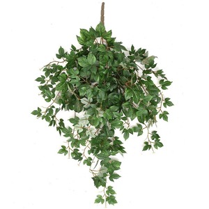 Lianes de lierre artificiel en soie, verdure décorative 100cm-200cm, bouquet de plantes murales suspendues - Product Image 5