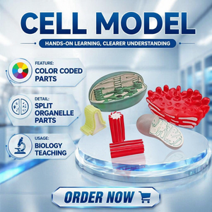 Juego de 6 Modelos Ampliados de Órganos Celulares: Mitocodrón, Cloroplasma, <span class=keywords><strong>Golgi</strong></span>, Centriola, Lisosoma, ER Rústico para la Enseñanza de Biología - Product Image 5