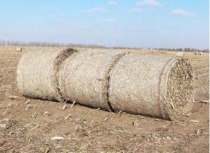 Jaring jerami bal bulat jaring pertanian poliester & PP kualitas tinggi dengan layanan pemotongan jala hijau/hitam 45-55mm untuk makanan kuda - Product Image 3