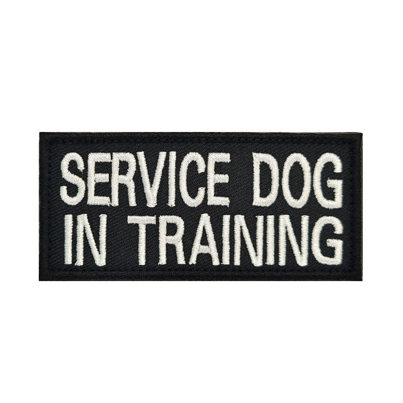 SERVICE DOG IN
