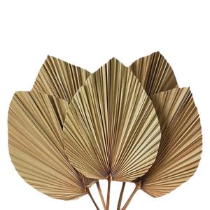 Bất tự nhiên khô lá cọ Spears mộc mạc trang trí đám cưới Hoa khô khô Lá Cọ cho hoa sắp xếp - Product Image 5