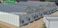 Serre agricole à structure galvanisée à chaud pas cher en usine