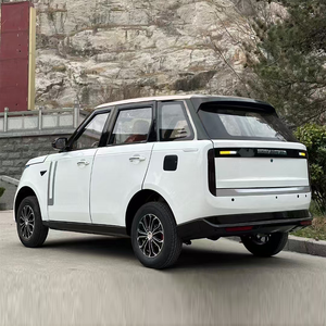 Coche eléctrico sin permiso de conducir comercio Baw pequeño coche eléctrico para caza y turismo - Product Image 5