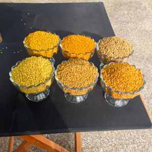 Pólen de Abeja Natural de Colza - Suplemento de Grado Alimenticio para la Nutrición Diaria - Pólen Orgánico de Grado Alimenticio al por Mayor - Product Image 4